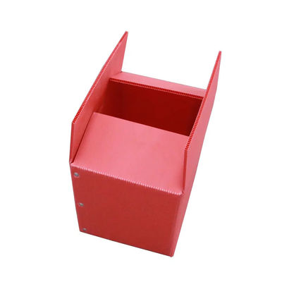 Eco-Friendly and Durable The PP Corrugated Plastic Vegetable Packaging Box