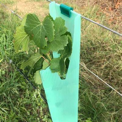 يتميز PP Tree Guard بأنه خفيف الوزن ومتين ومقاوم للماء وسهل التركيب. إنه يحمي الأشجار الصغيرة من الرياح والحيوانات والأضرار، بأحجام وألوان وسمك وتصميمات قابلة للتخصيص.