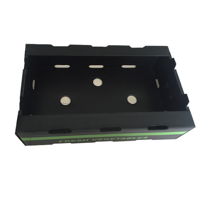 Full Color Coroplast Shipping Boxes 3mm 4mm Collapsible Corrugated Plastic Boxes