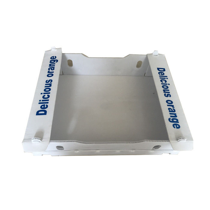 PP Corrugated Plastic Vegetable Packing Box Lightweight Storage Corflute Box
