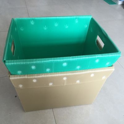 4.5mm 5.5mm البلاستيك المموج التعبئة مربع الأسماك PP المموج بن