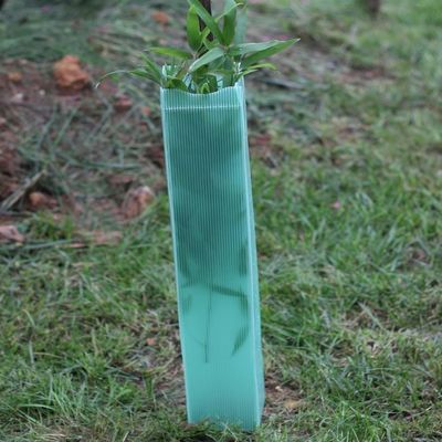 كورفلوت البلاستيك المموج شجرة التفاف 2mm حراس شجرة البلاستيك الصلب