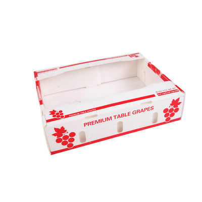 كورفلوت Fresh Produc كرتون صناديق كوروبلاست Kiwi Fruit Packing Box