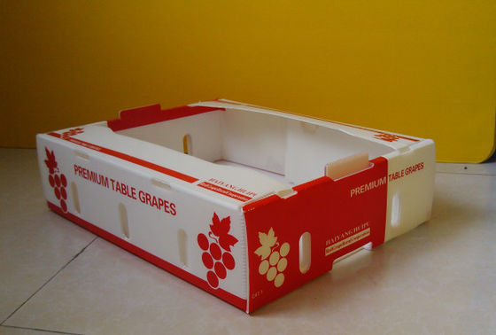 كورفلوت Fresh Produc كرتون صناديق كوروبلاست Kiwi Fruit Packing Box