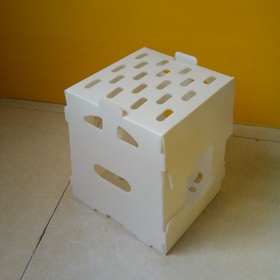 Turnover PP صندوق بلاستيك مموج جوفاء كورفلوت صناديق تخزين