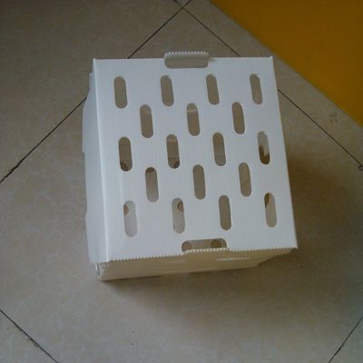Turnover PP صندوق بلاستيك مموج جوفاء كورفلوت صناديق تخزين