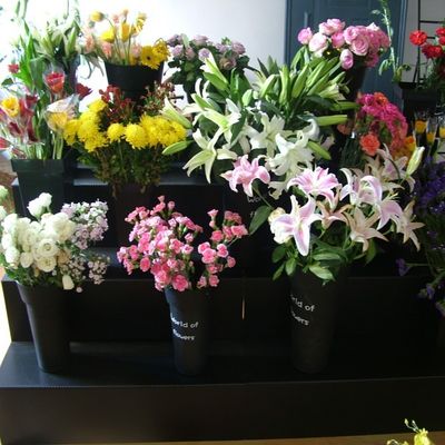 مستطيل كوروبلاست Flower Shop عرض موقف 3 طبقات مقاومة الطقس