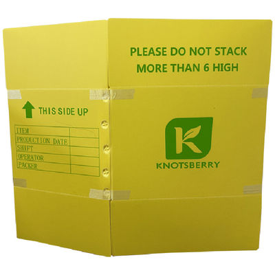 صناديق التعبئة البلاستيكية المموجة المصممة للخدمات العامة والتجارية لتوفير الأداء في أنظمة إدارة النفايات