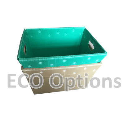 إعادة تدوير الصندوق البلاستيكي المموج PP الصندوق التعبئة والتغليف الكوروبلاستية المخصصة ECO قابلة للطي