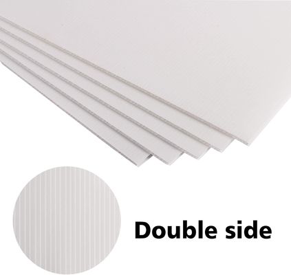 اطلق سراح إمكانات ورقة الكوروبلاست PP في عبواتك وإعلاناتك